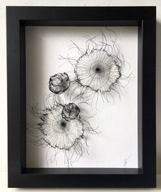 three black and white flowers in a frame