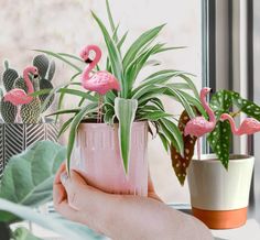 pink flamingos are sitting on the windowsill next to plants and potted cacti