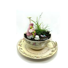 a teacup with plants in it sitting on a saucer