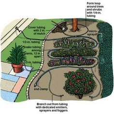 a garden plot with various plants and instructions for each planter's watering point