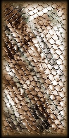 an image of a snake skin pattern in brown and white colors with a black frame