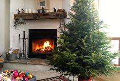 a small christmas tree sitting in front of a fire place