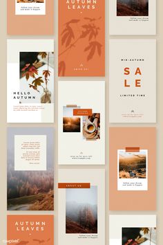 an assortment of brochures with autumn leaves on them, all in orange and white