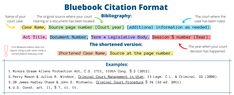 the blue book citation format is shown