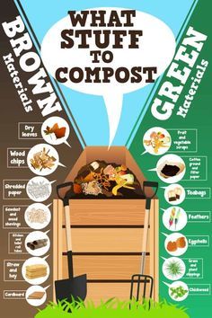 what stuff is in the composting bin?