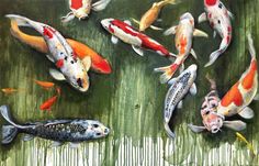 a group of koi fish swimming on top of a green pond filled with water