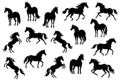 black silhouettes of horses on white background