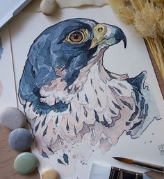 a drawing of a bird on paper next to some rocks and watercolor pens, along with other art supplies