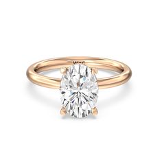 https://embed.imajize.com/8668940 Curved Interior, Subtle Beauty, Gorgeous Engagement Ring, Now And Forever, Solitaire Engagement, Solitaire Engagement Ring, Diamond Earrings Studs, Diamond Solitaire, Diamond Wedding Bands