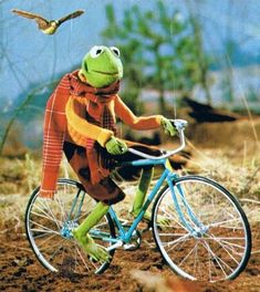 a frog on a bicycle with a bird in the background