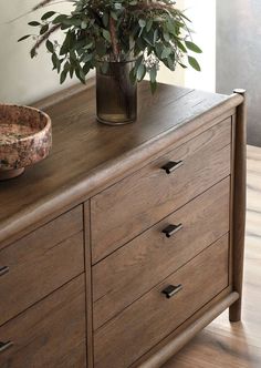 a potted plant sitting on top of a wooden dresser