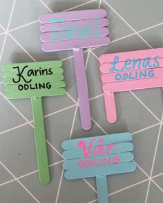 four popsicles with different names on them sitting on a counter top next to each other