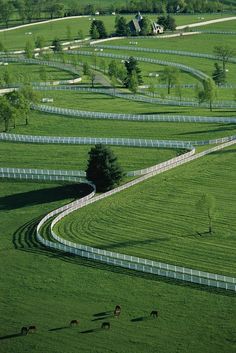 an aerial view of a green field with white fences