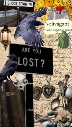 there is a collage with many different things in the photo and it says are you lost?