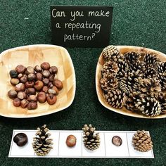 two plates with pine cones and acorns on them next to a sign that says can you make a repeating pattern?