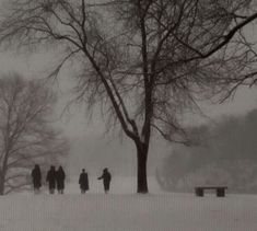 a group of people standing next to a tree on a snow covered field in the middle of winter