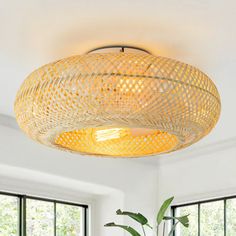 a living room with a large round light fixture hanging from the ceiling and a potted plant in front of it