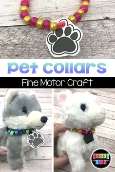 a stuffed animal is shown with the words pet collars on it and an image of a dog's paw