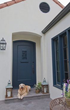 a dog sitting on the front steps of a house with blue doors and shutters