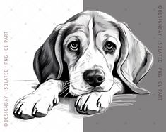 a black and white drawing of a dog with his paws on the ground, looking at the camera