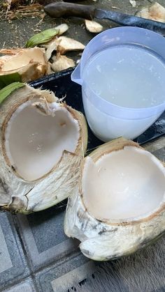 two pieces of coconut sitting on top of a table next to a container of milk