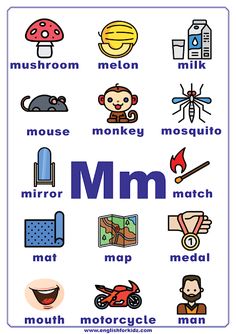 the letter m is for mouse and other things to see in this picture, including an animal