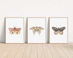 three framed pictures with moths on them in an empty room next to a wooden floor