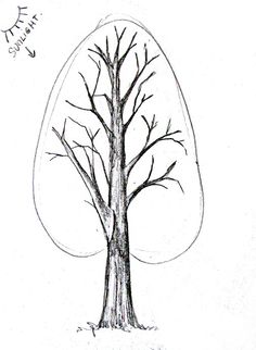 a drawing of a tree with no leaves