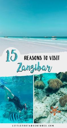 a woman swimming in the ocean with text overlay that reads 15 reasons to visit zangbar