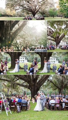 a wedding ceremony in the middle of a large tree with lots of people around it