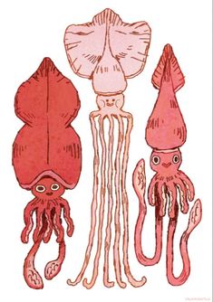 an octopus and squid are standing next to each other in red ink on white paper