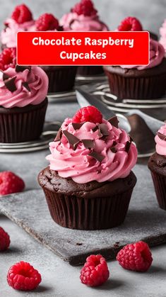 chocolate raspberry cupcakes with pink frosting and fresh raspberries