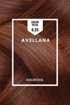 ¡El Tono 6,25 del tinte de pelo Color Total de Azalea es tu opción ideal si tienes la piel blanca anaranjada, dorada, rosada o morena marrón y sueles vestir con colores cálidos! Te sentará genial con unos ojos azules, marrones o verdes. El tono 6,25 es perfecto si buscas un cabello Avellana de lo más especial. Coloración permanente en crema enriquecida con efecto Antiedad gracias al aceite de Tsubaki y Argán. Cobertura total de canas. Strawberry Makeup, Hair Color Formulas, Hair Color Auburn, Hair Color Blue, Brown Blonde Hair, Auburn Hair, Hair Color And Cut, Tone Hair