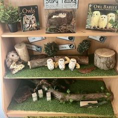 a book shelf filled with lots of books on top of green moss covered ground next to trees