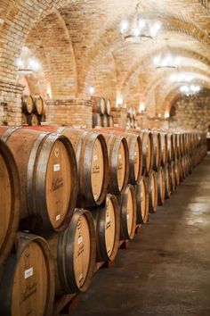 rows of wine barrels lined up in an old brick cellar with lights on the ceiling