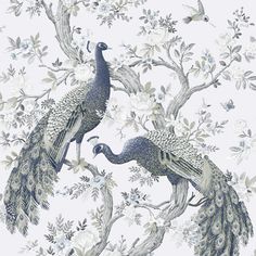 two peacocks are perched on the branches of a tree