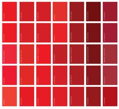 red color chart with different shades and colors for each one, including the same shade