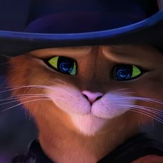 a close up of a cat wearing a hat with blue and green eyes, looking at the camera