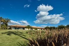 the house is surrounded by tall grass and palm trees, with blue skies in the background