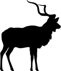 an antelope silhouetted in black against a white background with long curved horns