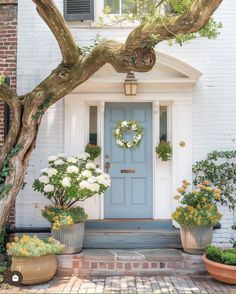 a blue front door surrounded by potted plants and trees with wreaths on them