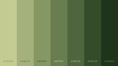 an image of green color swatches in the middle of two rows, each with different colors