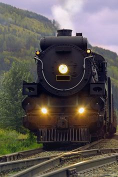 a black train traveling down tracks next to a lush green hillside covered in trees and grass