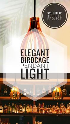 an elegant birdcage pendant light is on display in the shop window with other items behind it