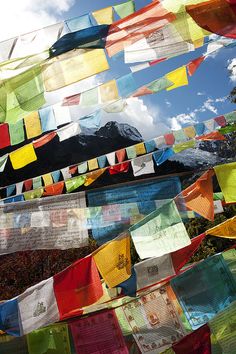 many colorful flags are hanging in the air