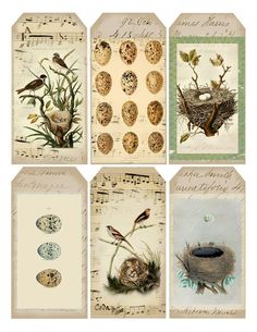 four different cards with birds and nests on them