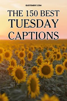 I’ve prepared the ultimate collection of Tuesday captions to inspire you, make you laugh, and help you survive another hectic workweek.

Let’s take a look! Tuesday Captions, Caption For Yourself, Work Week, Take A, Let It Be, Instagram Post, Instagram Posts