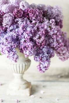 a white vase filled with purple flowers on top of a table