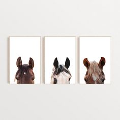 three pictures of horses are hanging on the wall next to each other, one is brown and one is white