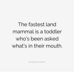 the fastest land mammal is a toddler who's been asked what's in their mouth